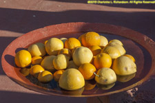 bowl of citrus fruit